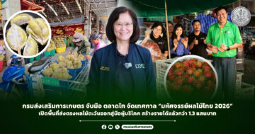 กรมส่งเสริมการเกษตร จับมือ ตลาดไท จัดเทศกาล “มหัศจรรย์ผลไม้ไทย 2026” เปิดพื้นที่ส่งตรงผลไม้ตะวันออกสู่มือผู้บริโภค สร้างรายได้แล้วกว่า 1.3 แสนบาท
