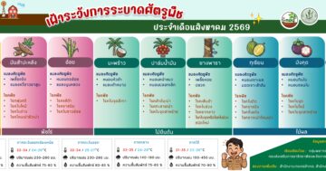 เฝ้าระวังการระบาดศัตรูพืช ประจำเดือน สิงหาคม 2569