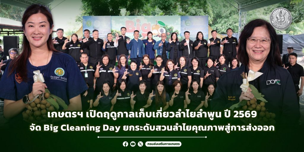 เกษตรฯ เปิดฤดูกาลเก็บเกี่ยวลำไยลำพูน ปี 2569 จัด Big Cleaning Day ยกระดับสวนลำไยคุณภาพสู่การส่งออก