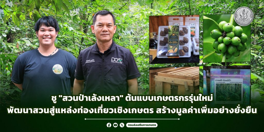 ชู “สวนป่าเล้งเหลา” ต้นแบบเกษตรกรรุ่นใหม่ พัฒนาสวนสู่แหล่งท่องเที่ยวเชิงเกษตร สร้างมูลค่าเพิ่มอย่างยั่งยืน