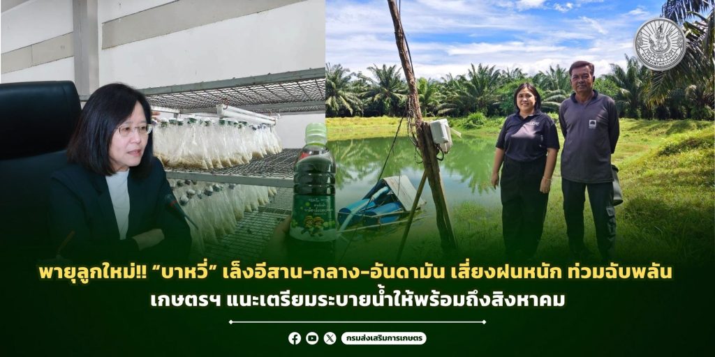 พายุลูกใหม่!! “บาหวี่” เล็งอีสาน-กลาง-อันดามัน เสี่ยงฝนหนัก ท่วมฉับพลัน เกษตรฯ แนะเตรียมระบายน้ำให้พร้อมถึงสิงหาคม