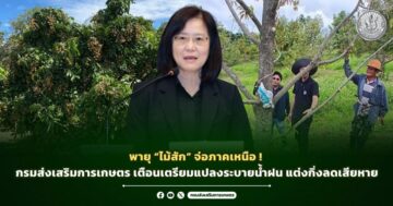 พายุ “ไมสัก” จ่อภาคเหนือ กรมส่งเสริมการเกษตร เตือนเตรียมแปลงระบายน้ำฝน แต่งกิ่งลดเสียหาย