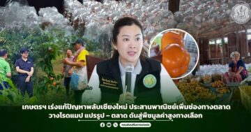 เกษตรฯ เร่งแก้ปัญหาพลับเชียงใหม่ ประสานพาณิชย์เพิ่มช่องทางตลาดวางโรดแมปแปรรูป – ตลาด ดันสู่พืชมูลค่าสูงทางเลือก
