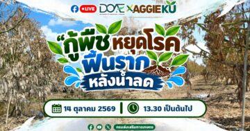 กู้พืช หยุดโรค ฟื้นราก หลังน้ำลด
