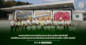 กรมส่งเสริมการเกษตรปักธงยกระดับการผลิตเมล็ดพันธุ์ดี เปิดใช้โรงงานปรับปรุงสภาพเมล็ดพันธุ์ รองรับกำลังการผลิต 1,000 ตันต่อปี