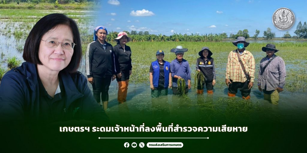 เกษตรฯ ระดมเจ้าหน้าที่ลงพื้นที่สำรวจความเสียหาย