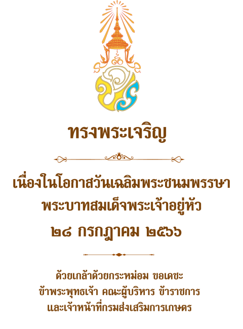 Web - ข้อความ