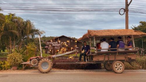 วิสาหกิจชุมชนกลุ่มโฮมสเตย์บ้านนาต้นจั่น