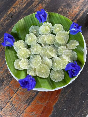 วิสาหกิจชุมชนกลุ่มโฮมสเตย์บ้านนาต้นจั่น