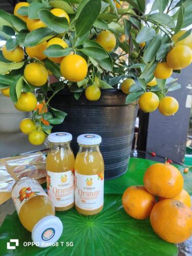 สวนส้มยอดดอย