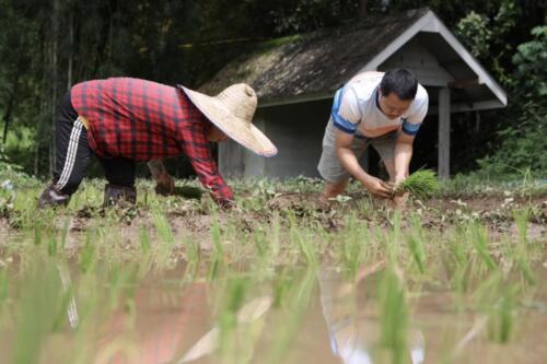 อุ้มฮุ่มโฮมสเตย์และสวนป่าเกษตรอินทรีย์