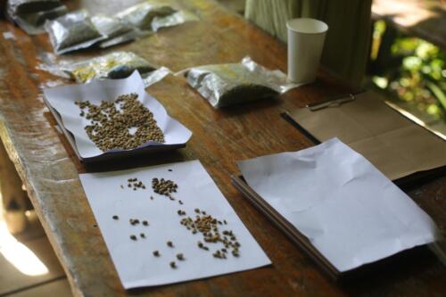 วิสาหกิจชุมชนการท่องเที่ยวเชิงเกษตรบ้านม่วงคำ