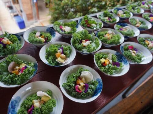 วิสาหกิจชุมชนการท่องเที่ยวเชิงเกษตรบ้านม่วงคำ