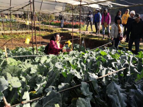 ศูนย์ส่งเสริมและพัฒนาอาชีพการเกษตรจังหวัดแม่ฮ่องสอน