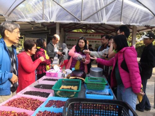 ศูนย์ส่งเสริมและพัฒนาอาชีพการเกษตรจังหวัดแม่ฮ่องสอน