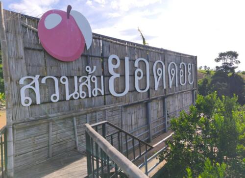 สวนส้มยอดดอย