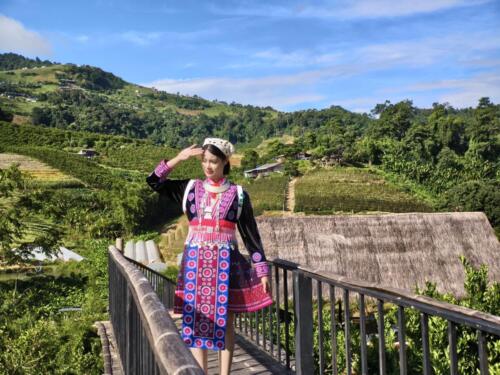 สวนส้มยอดดอย