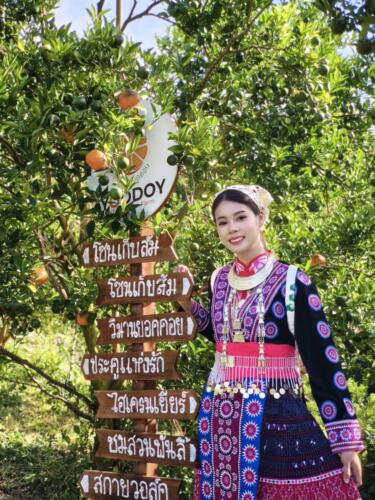 สวนส้มยอดดอย