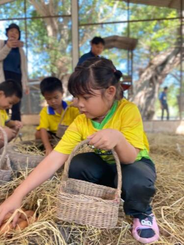 วิสาหกิจชุมชน Gfarm at.samkhok