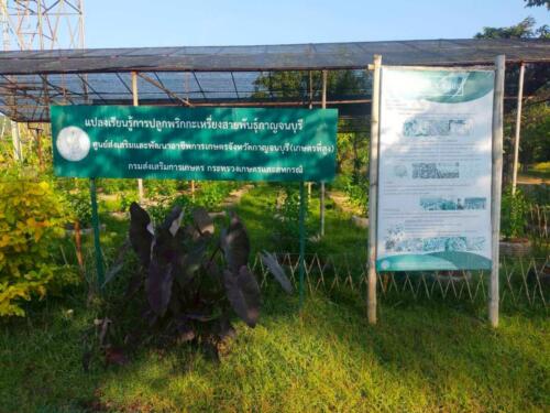 ศูนย์ส่งเสริมและพัฒนาอาชีพการเกษตรจังหวัดกาญจนบุรี