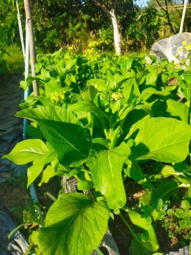 ศูนย์ส่งเสริมและพัฒนาอาชีพการเกษตรจังหวัดกาญจนบุรี