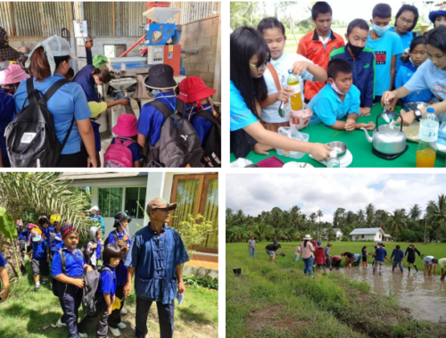 วิสาหกิจชุมชนท่องเที่ยวเชิงเกษตรและโฮมสเตย์ โดยชุมชนบ้านห้วยยาง