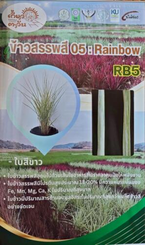 วิสาหกิจชุมชนเกี้ยวตะวันจังหวัดเชียงราย-3