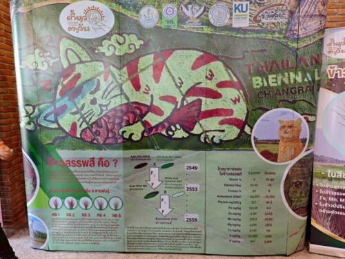 วิสาหกิจชุมชนเกี้ยวตะวันจังหวัดเชียงราย