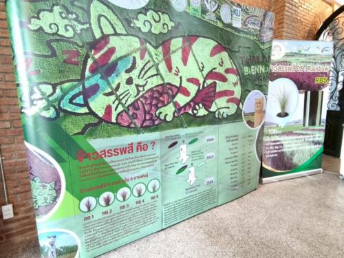 วิสาหกิจชุมชนเกี้ยวตะวันจังหวัดเชียงราย-5