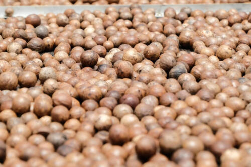 วิสาหกิจชุมชนเกษตรผสมผสานบ้านเสรีราษฎร์ (สวนพงษ์คุ้มภัย)