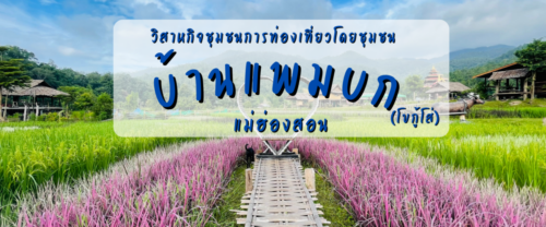 หน้าปกแหล่ง ลงwebsite