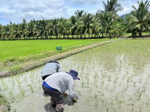 วิสาหกิจชุมชนท่องเที่ยวเชิงเกษตรและโฮมสเตย์ โดยชุมชนบ้านห้วยยาง
