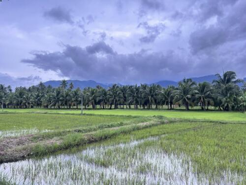 วิสาหกิจชุมชนท่องเที่ยวเชิงเกษตรและโฮมสเตย์ โดยชุมชนบ้านห้วยยาง