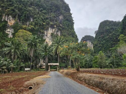 วิสาหกิจชุมชนไร่ม่านเขา